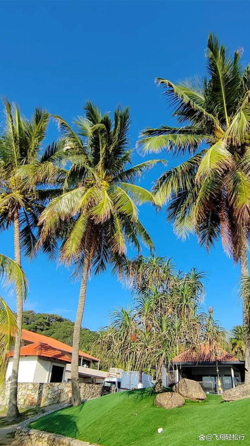 马来西亚旅游景点 关丹-第2张图片-星月文旅