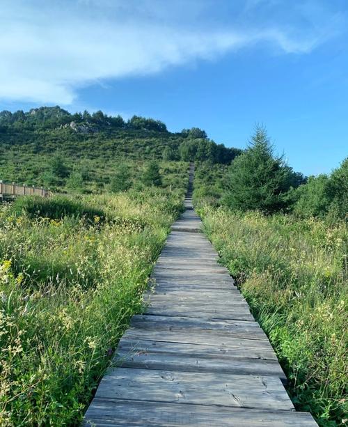 百花山自驾一日游怎么安排才最省心？-第2张图片-星月文旅