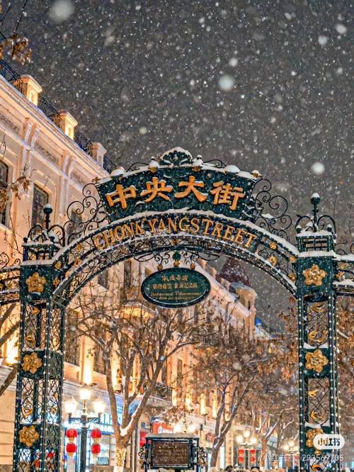 2025哈尔滨旅游攻略，哪些必玩景点不能错过？-第2张图片-星月文旅