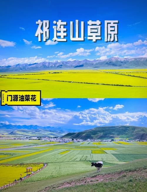 祁连山草原自驾游怎么玩最尽兴？-第1张图片-星月文旅