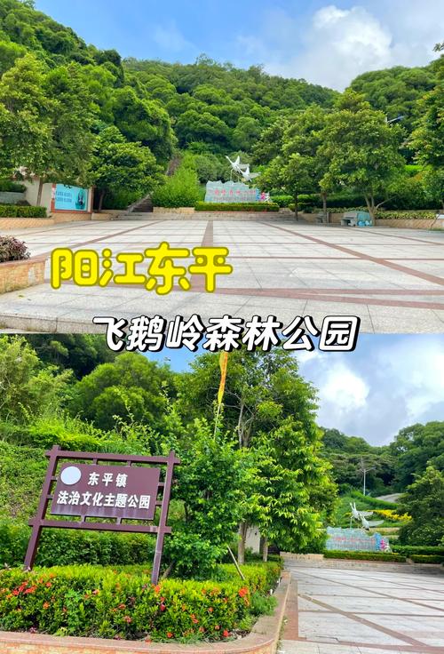 阳江东平一日游怎么玩才够尽兴？-第2张图片-星月文旅