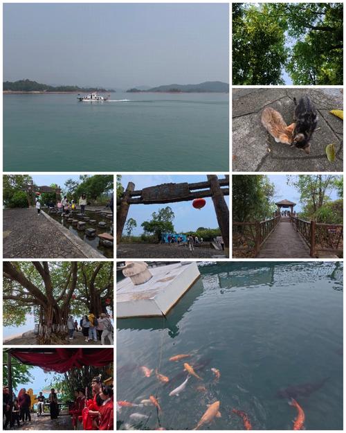 万绿湖 农家乐自驾游-第2张图片-星月文旅 万绿湖 农家乐自驾游-第2张图片-星月文旅