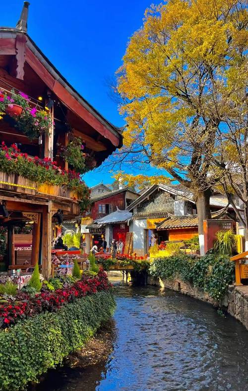 云南省丽江古城旅游景点-第1张图片-星月文旅