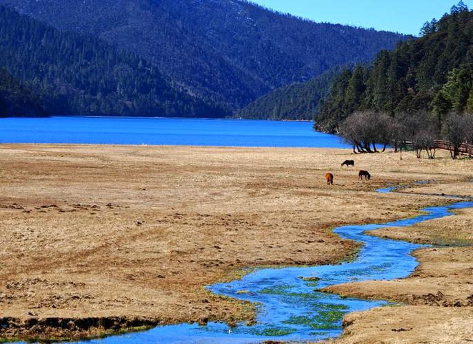 自驾游普达措国家公园怎么玩才最尽兴？-第1张图片-星月文旅