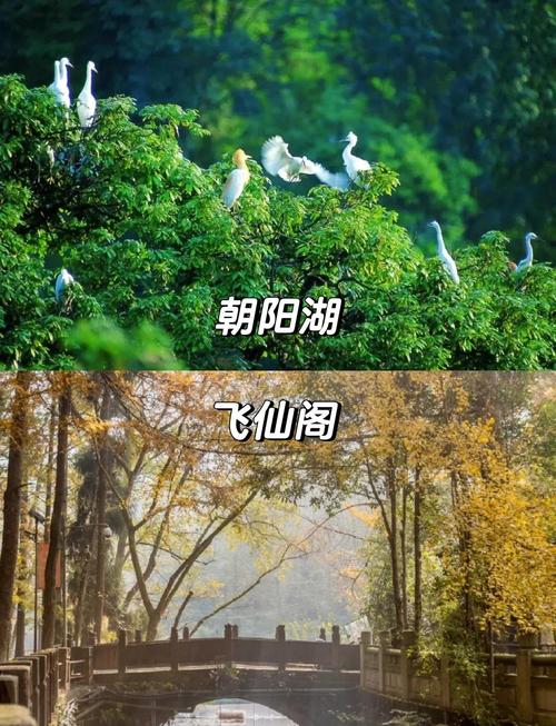 成都浦江有哪些值得一去的旅游景点？-第3张图片-星月文旅