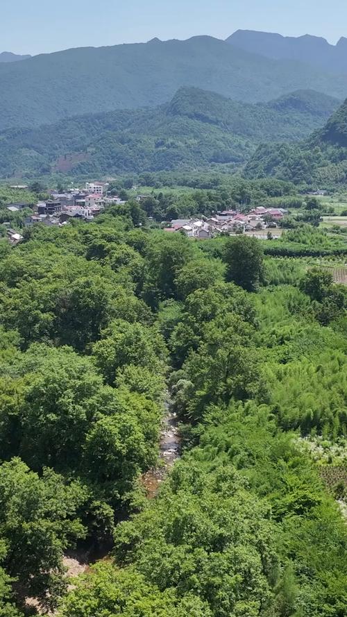 板桥自然保护区自驾游怎么玩最尽兴？-第1张图片-星月文旅