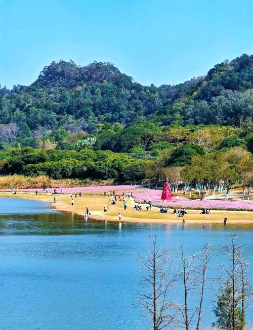 广州南沙区旅游景点大全-第2张图片-星月文旅