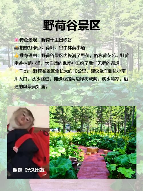 六盘山森林公园怎么玩？攻略有哪些必打卡？-第1张图片-星月文旅