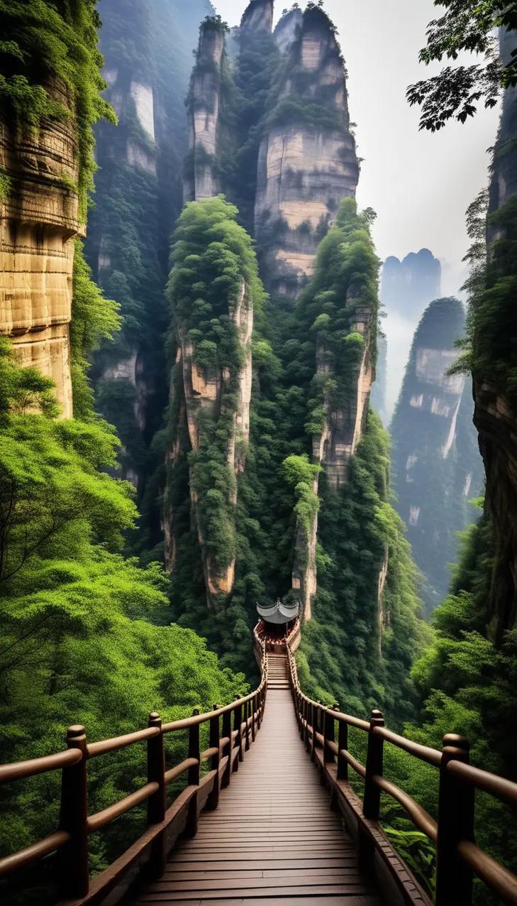 张家界必去景点有哪些?-第3张图片-星月文旅 张家界必去景点有哪些?-第3张图片-星月文旅