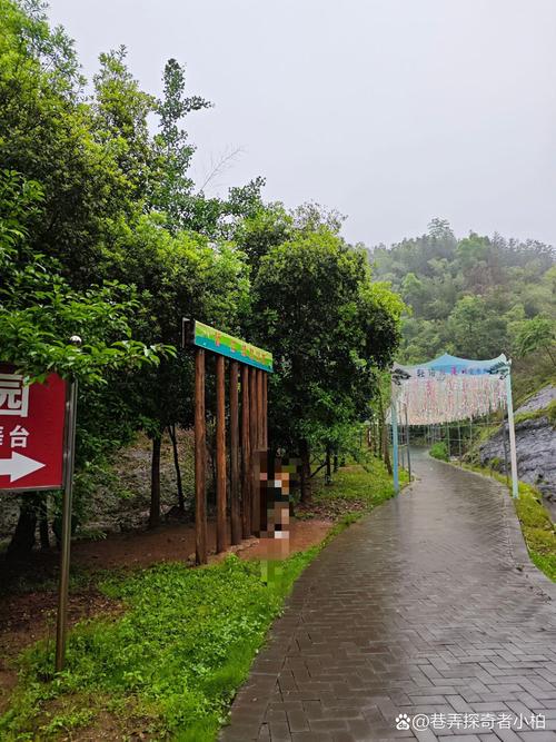 衡阳周边一日自驾游去哪儿玩?-第3张图片-星月文旅 衡阳周边一日自驾游去哪儿玩?-第3张图片-星月文旅