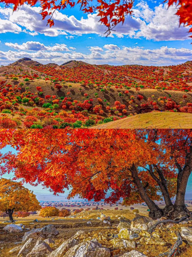 四川国庆自驾游内蒙古，可行吗？-第2张图片-星月文旅