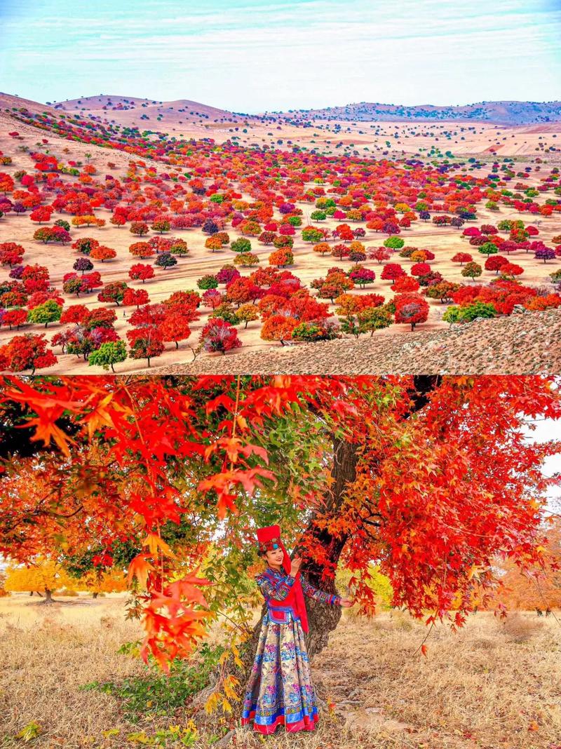 四川国庆自驾游内蒙古，可行吗？-第3张图片-星月文旅