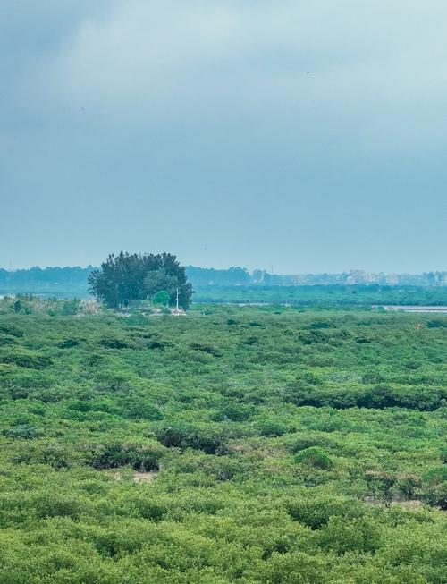 七彩贝丘湾自驾游怎么玩?-第1张图片-星月文旅 七彩贝丘湾自驾游怎么玩?-第1张图片-星月文旅