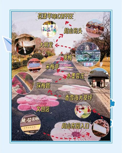 杭州超山风景区怎么玩最尽兴?-第2张图片-星月文旅 杭州超山风景区怎么玩最尽兴?-第2张图片-星月文旅