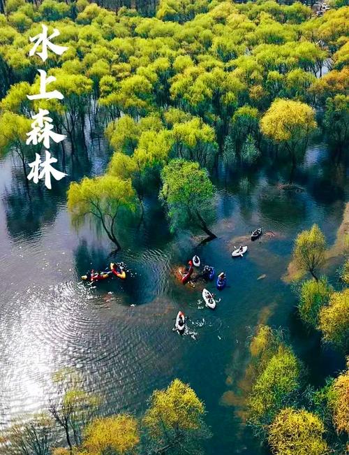 北京周边有哪些旅游景点-第1张图片-星月文旅 北京周边有哪些旅游景点-第1张图片-星月文旅