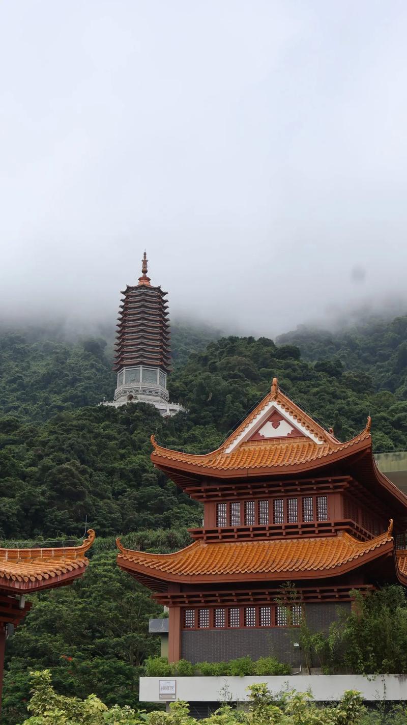 深圳不用门票的旅游景点-第2张图片-星月文旅