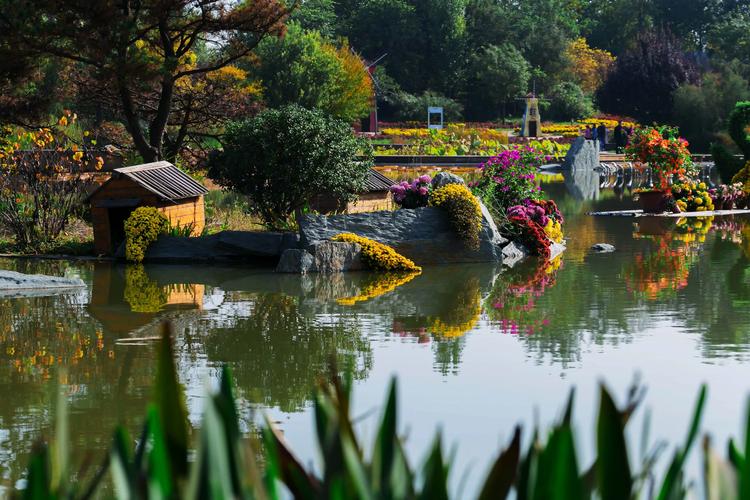 西安野生植物园自驾游怎么玩最尽兴？-第3张图片-星月文旅