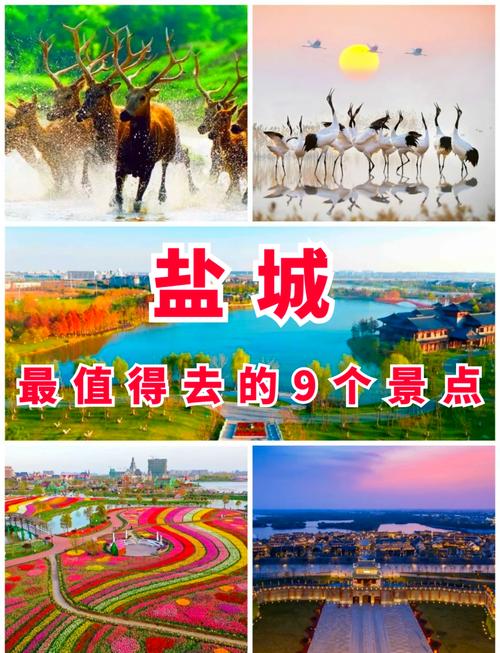 盐城必玩景点有哪些？-第1张图片-星月文旅