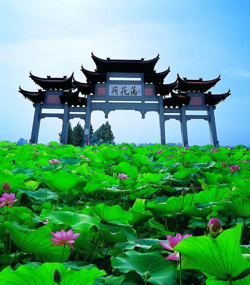 江苏金湖一日游有哪些必打卡景点？-第2张图片-星月文旅