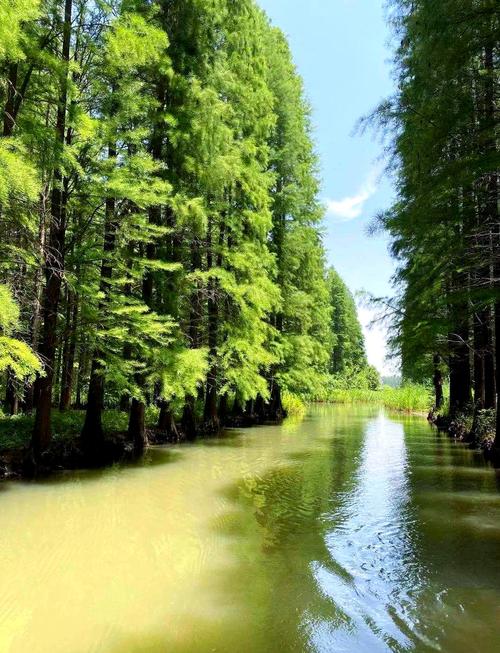 江苏金湖一日游有哪些必打卡景点？-第1张图片-星月文旅