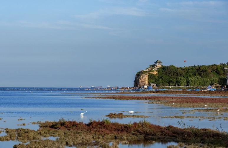 2025东戴河旅游怎么玩?攻略有哪些必去景点?-第1张图片-星月文旅 2025东戴河旅游怎么玩?攻略有哪些必去景点?-第1张图片-星月文旅