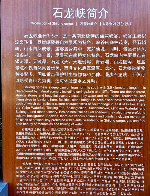 湖北九宫山有哪些必游景点?-第1张图片-星月文旅 湖北九宫山有哪些必游景点?-第1张图片-星月文旅