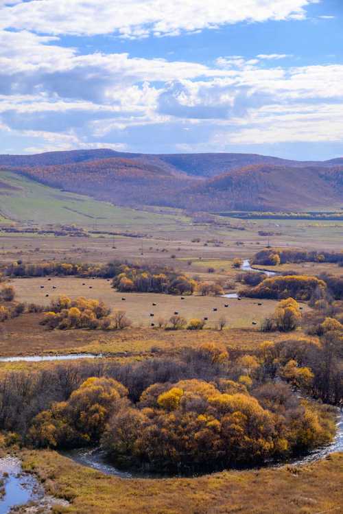 额尔古纳自由行怎么规划路线？-第2张图片-星月文旅