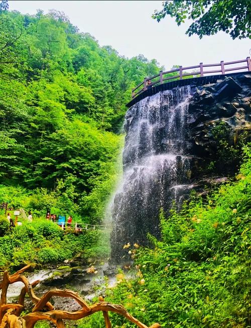 五常凤凰山自驾游费用大概多少?-第1张图片-星月文旅 五常凤凰山自驾游费用大概多少?-第1张图片-星月文旅