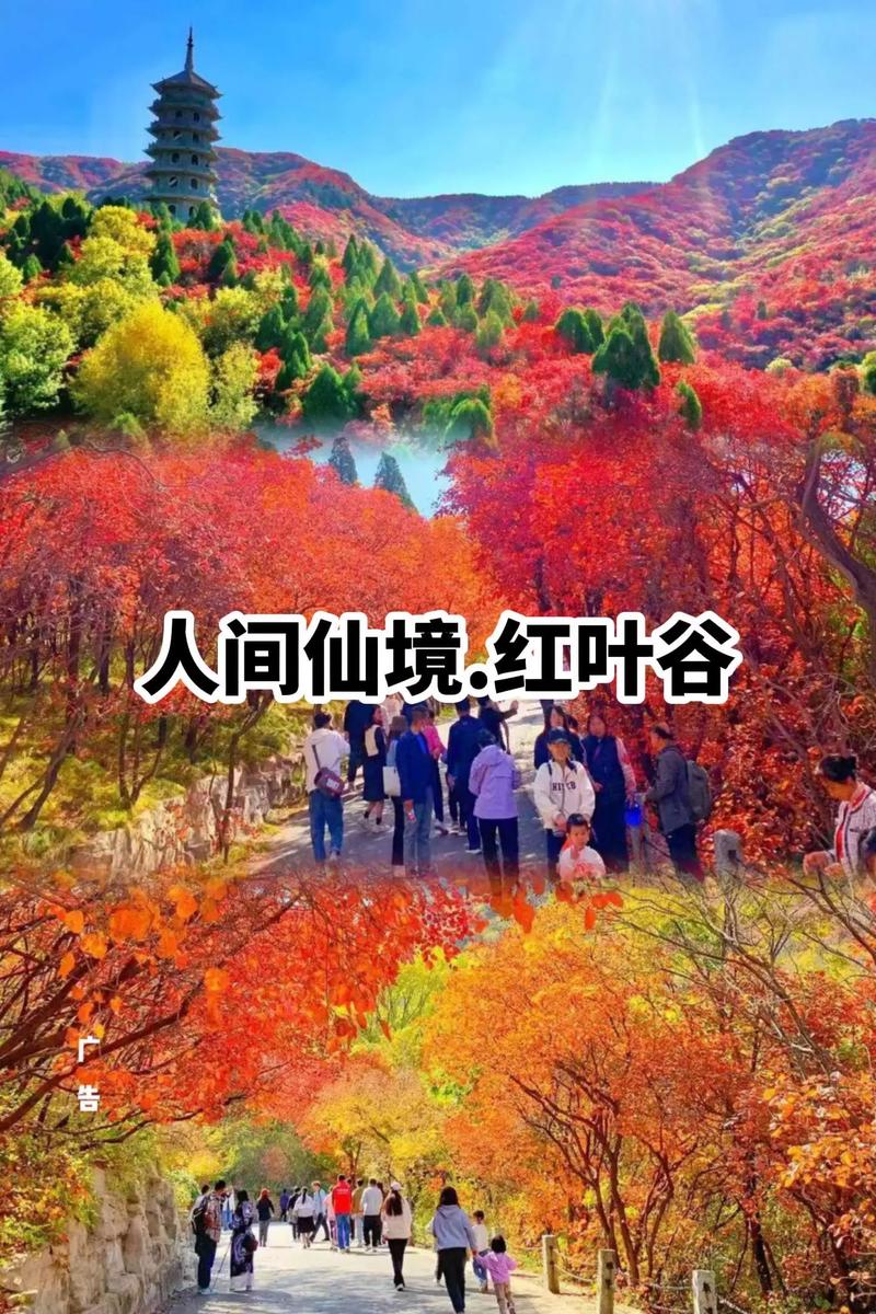 自驾游吉林到红叶谷怎么走？-第2张图片-星月文旅