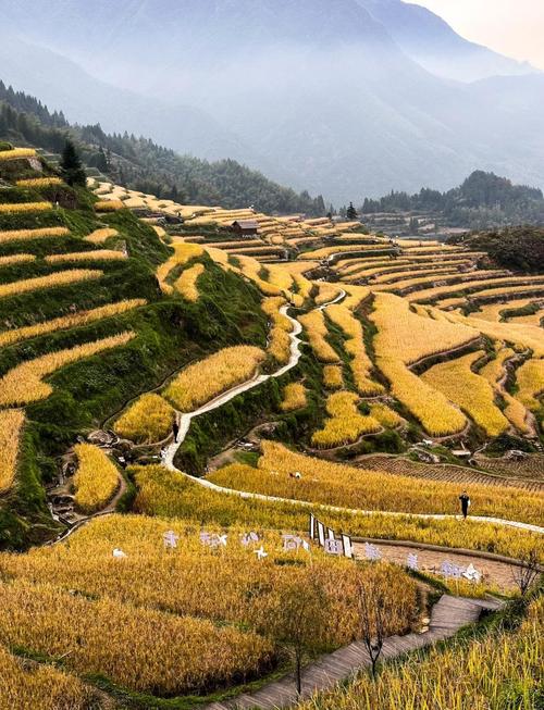 云和梯田旅游攻略自驾游-第1张图片-星月文旅 云和梯田旅游攻略自驾游-第1张图片-星月文旅