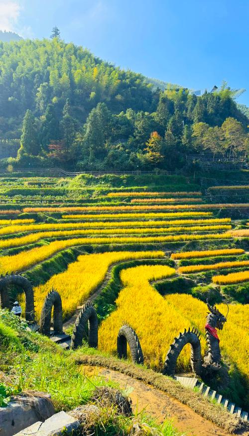 云和梯田旅游攻略自驾游-第2张图片-星月文旅 云和梯田旅游攻略自驾游-第2张图片-星月文旅