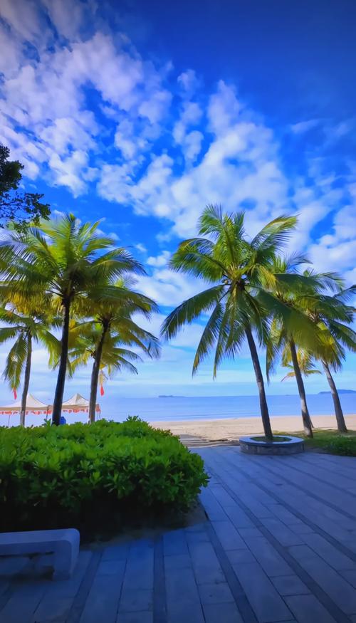 冬天三亚自由行怎么玩最省心？-第3张图片-星月文旅