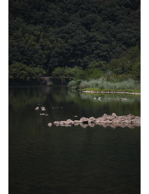 杭州周边一小时自驾游有哪些好去处?-第1张图片-星月文旅 杭州周边一小时自驾游有哪些好去处?-第1张图片-星月文旅