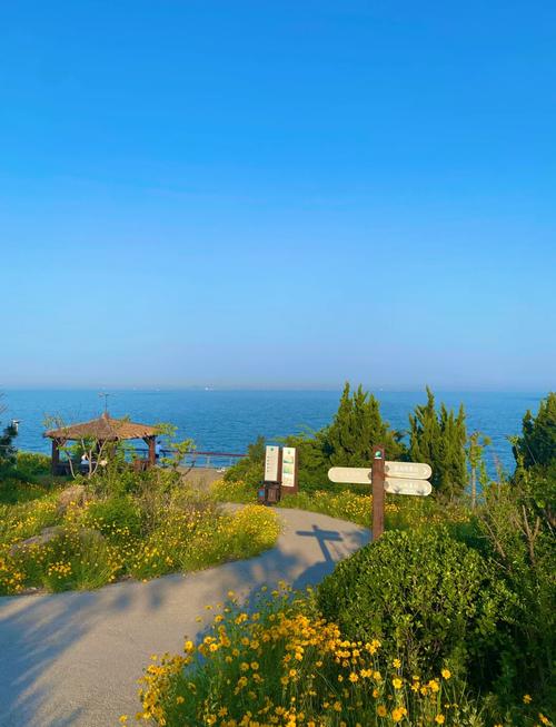 青岛黄岛区有哪些必游景点?-第1张图片-星月文旅 青岛黄岛区有哪些必游景点?-第1张图片-星月文旅