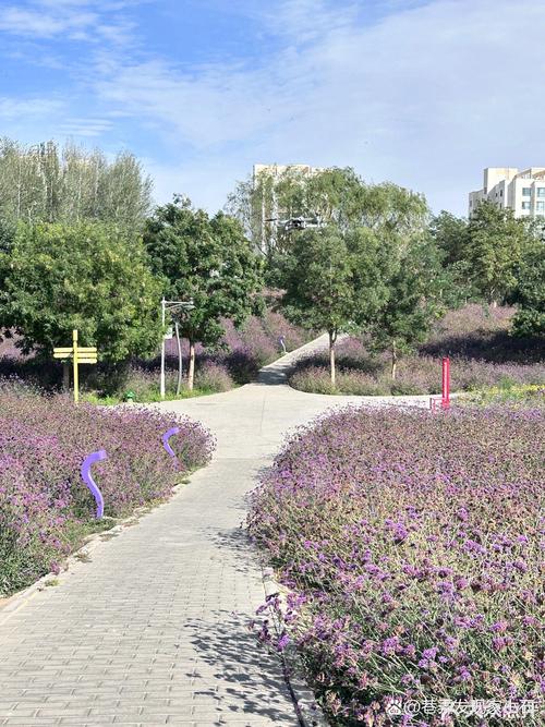 金昌自驾游一天去哪玩最尽兴？-第2张图片-星月文旅