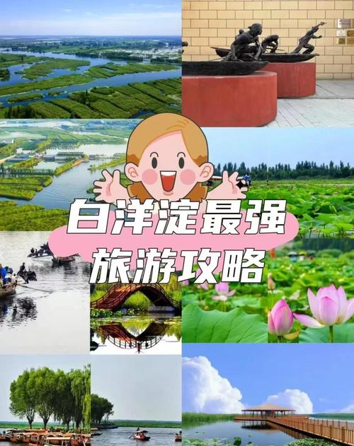 河北白洋淀旅游景点有哪些特色?-第1张图片-星月文旅 河北白洋淀旅游景点有哪些特色?-第1张图片-星月文旅