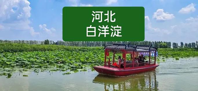 河北白洋淀旅游景点有哪些特色？-第3张图片-星月文旅