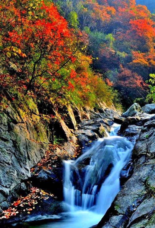 大别山景区有哪些必游景点？-第1张图片-星月文旅