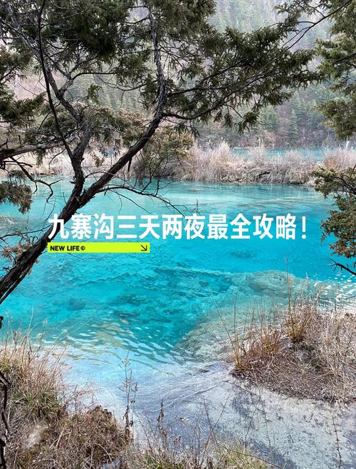 3月九寨沟自驾游攻略有哪些要点？-第3张图片-星月文旅