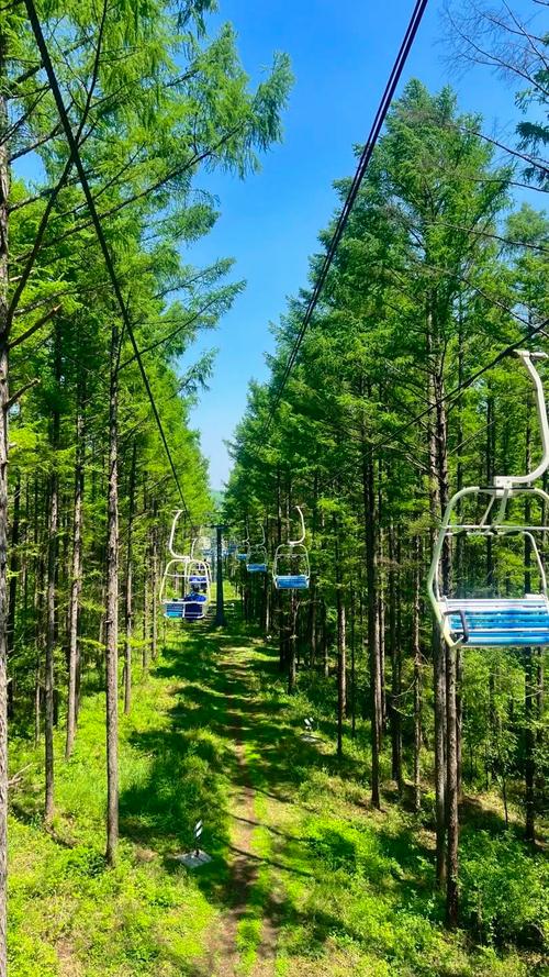 长春市内有哪些必游景点？-第1张图片-星月文旅