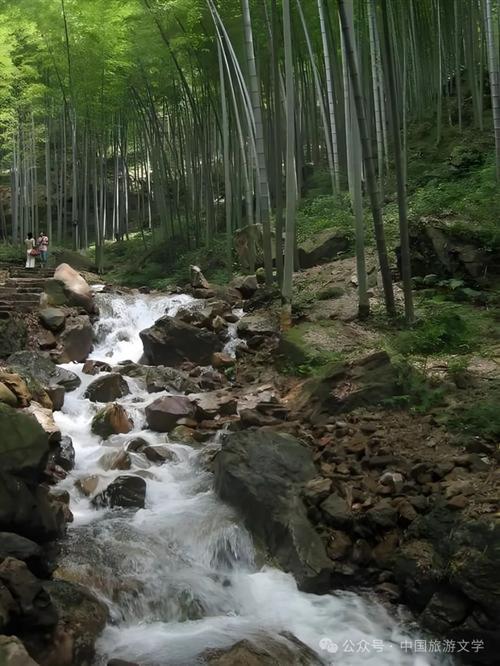 宜兴竹海附近的旅游景点-第1张图片-星月文旅