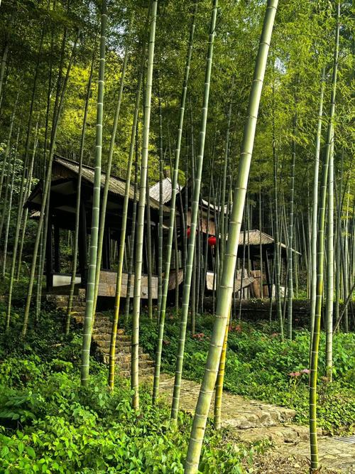 宜兴竹海附近的旅游景点-第2张图片-星月文旅