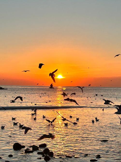 天津海边景点有哪些必打卡?-第3张图片-星月文旅 天津海边景点有哪些必打卡?-第3张图片-星月文旅