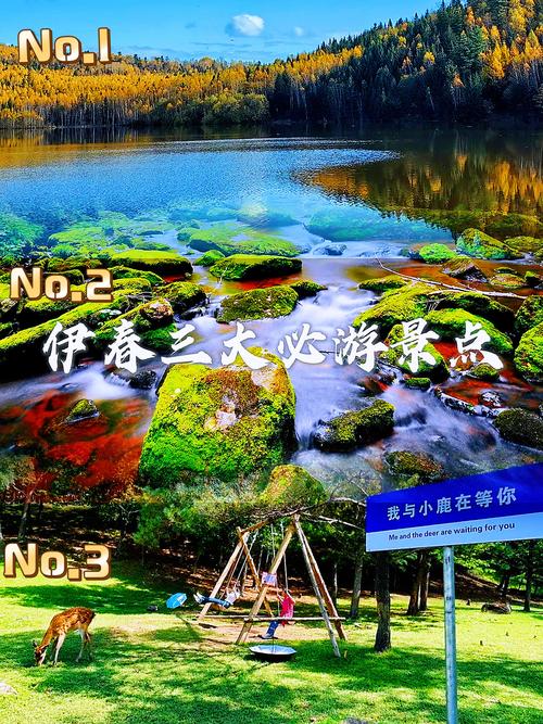 伊春自由行怎么玩?景点攻略有哪些?-第1张图片-星月文旅 伊春自由行怎么玩?景点攻略有哪些?-第1张图片-星月文旅