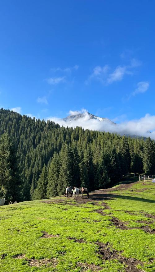石河子周边二日自驾游有哪些路线推荐?-第1张图片-星月文旅 石河子周边二日自驾游有哪些路线推荐?-第1张图片-星月文旅