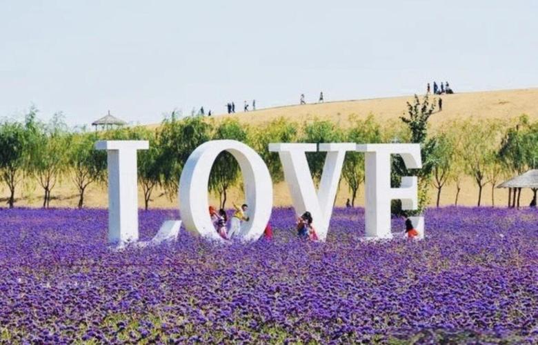 金沙岛有哪些必打卡景点?-第3张图片-星月文旅 金沙岛有哪些必打卡景点?-第3张图片-星月文旅