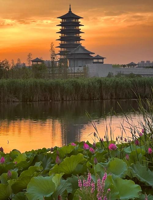 扬州附近有哪些必游景点?-第1张图片-星月文旅 扬州附近有哪些必游景点?-第1张图片-星月文旅