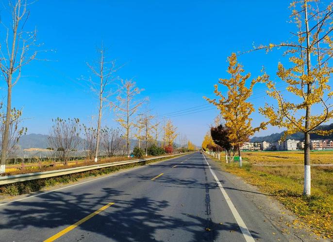 淳杨线自驾游,千岛湖最美路线是这条吗?-第1张图片-星月文旅 淳杨线自驾游,千岛湖最美路线是这条吗?-第1张图片-星月文旅