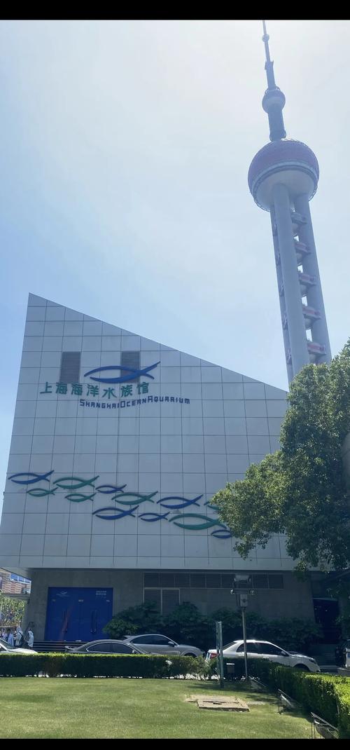 上海海洋水族馆自驾游怎么去?-第1张图片-星月文旅 上海海洋水族馆自驾游怎么去?-第1张图片-星月文旅