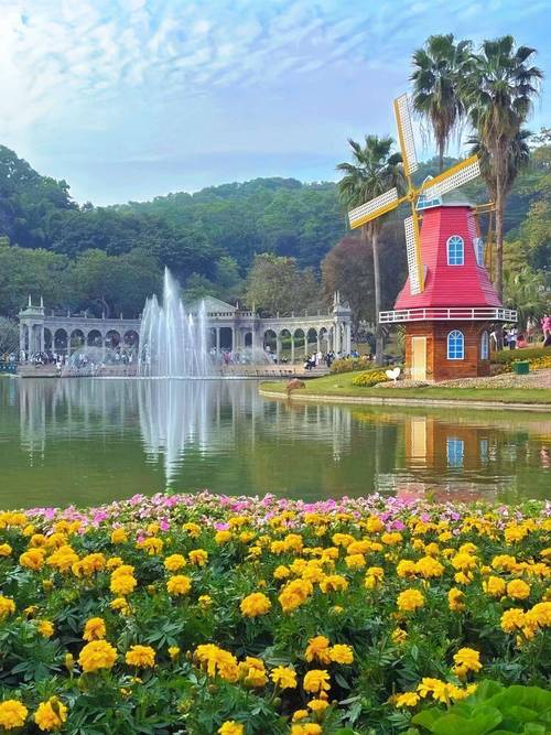 广州有哪些绝美花海旅游景点？-第2张图片-星月文旅
